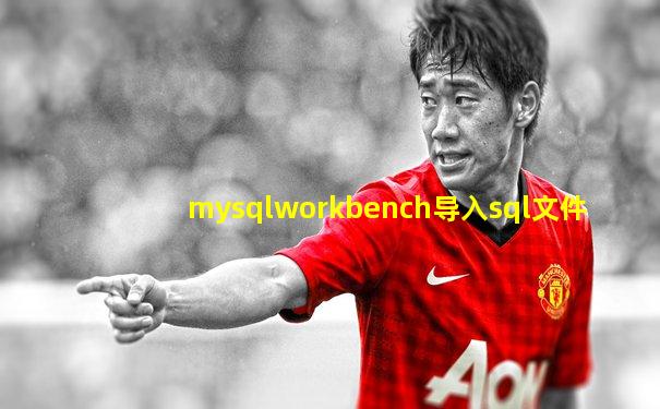 mysqlworkbench导入sql文件
