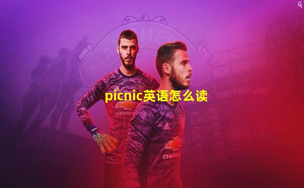 picnic英语怎么读