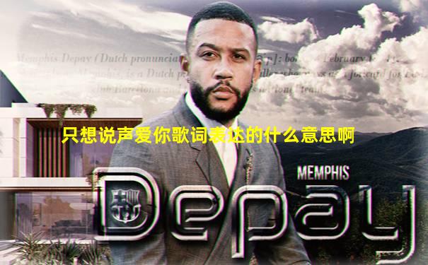 只想说声爱你歌词表达的什么意思啊