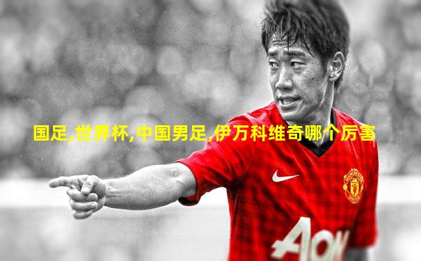 国足,世界杯,中国男足,伊万科维奇哪个厉害