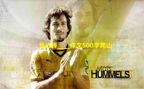 我选择____作文500字爬山