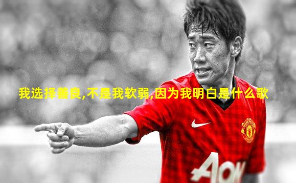 我选择善良,不是我软弱,因为我明白是什么歌