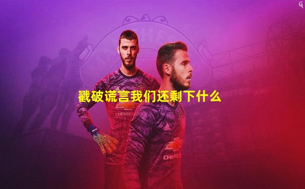 戳破谎言我们还剩下什么
