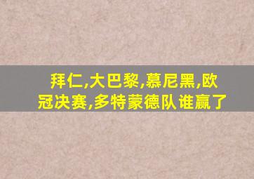 拜仁,大巴黎,慕尼黑,欧冠决赛,多特蒙德队谁赢了