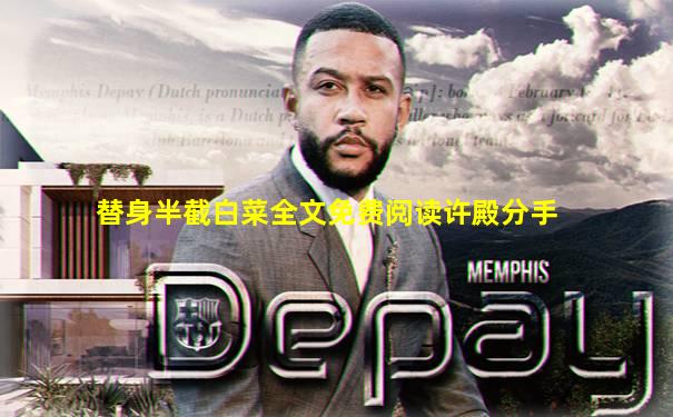 替身半截白菜全文免费阅读许殿分手