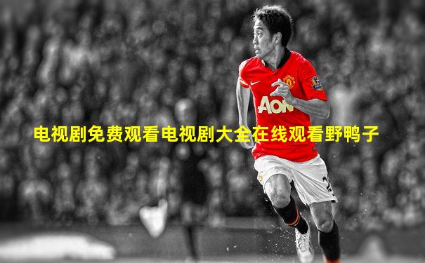 电视剧免费观看电视剧大全在线观看野鸭子