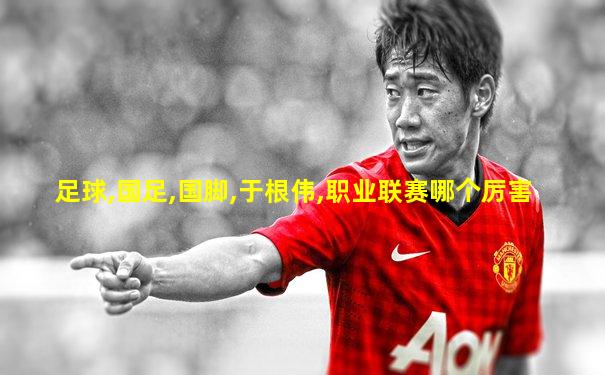 足球,国足,国脚,于根伟,职业联赛哪个厉害