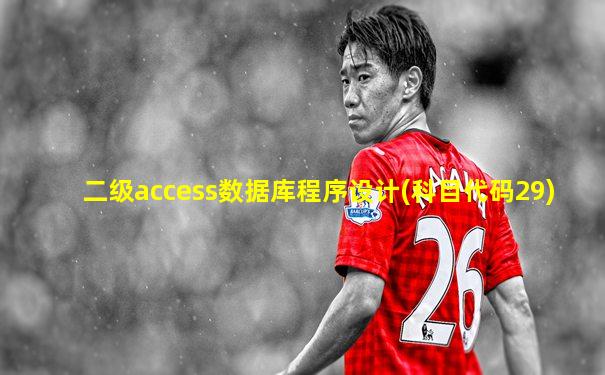 二级access数据库程序设计(科目代码29)