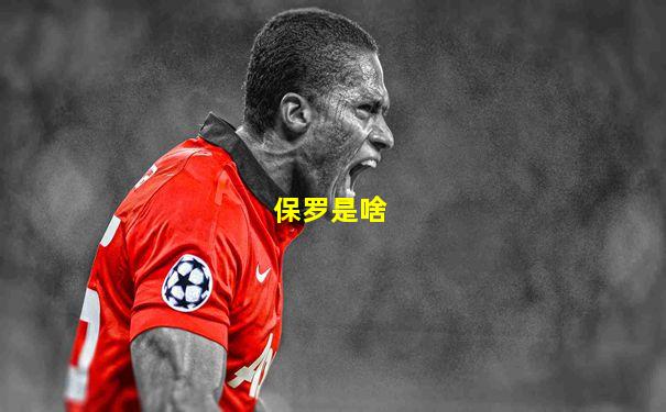 保罗是啥