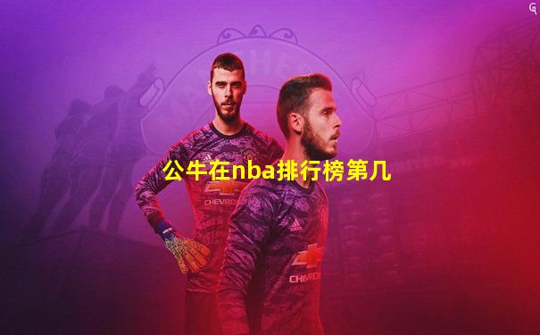 公牛在nba排行榜第几