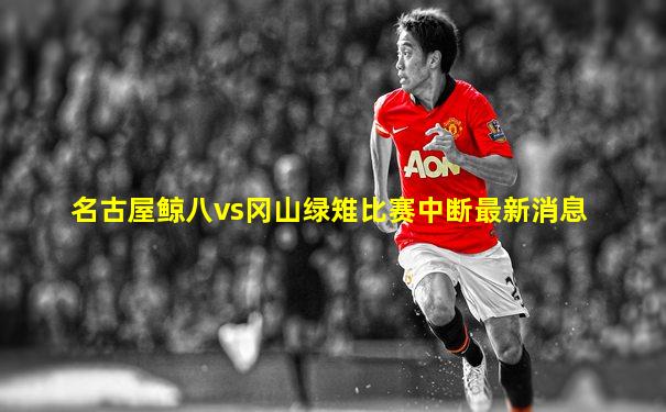 名古屋鲸八vs冈山绿雉比赛中断最新消息