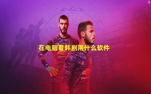 在电脑看韩剧用什么软件