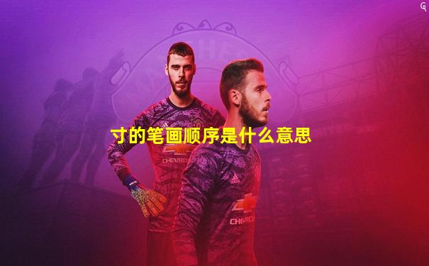 寸的笔画顺序是什么意思