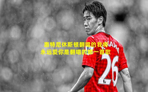 惠特尼休斯顿翻唱的我将永远爱你是翻唱的哪一首歌