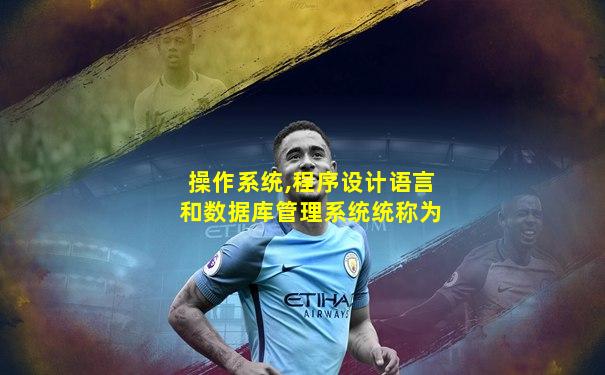 操作系统,程序设计语言和数据库管理系统统称为