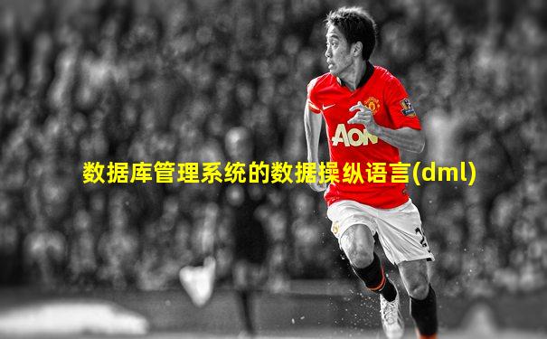 数据库管理系统的数据操纵语言(dml)