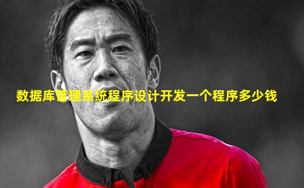 数据库管理系统程序设计开发一个程序多少钱