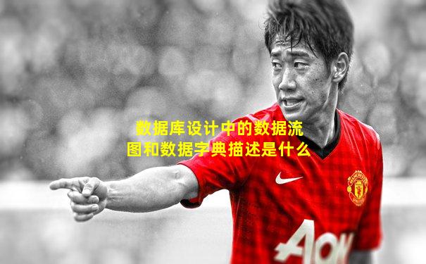 数据库设计中的数据流图和数据字典描述是什么