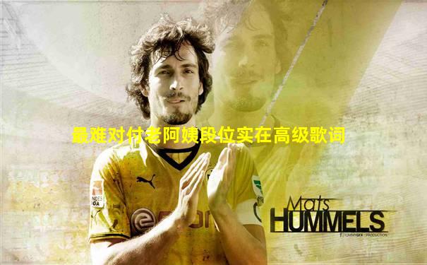最难对付老阿姨段位实在高级歌词