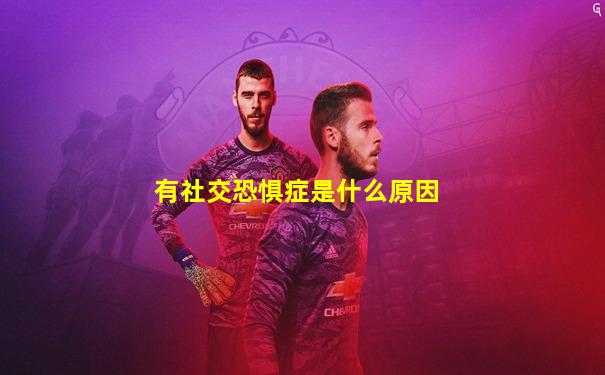 有社交恐惧症是什么原因