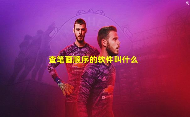 查笔画顺序的软件叫什么