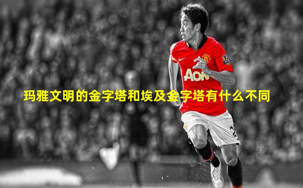 玛雅文明的金字塔和埃及金字塔有什么不同