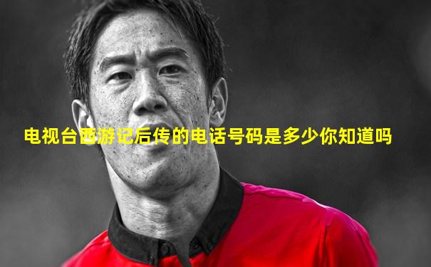 电视台西游记后传的电话号码是多少你知道吗