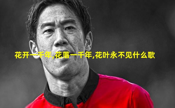 花开一千年,花落一千年,花叶永不见什么歌