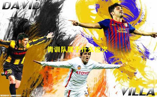 青训队属于什么档次
