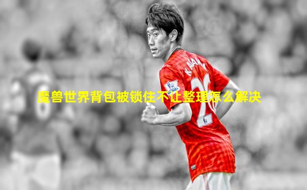 魔兽世界背包被锁住不让整理怎么解决